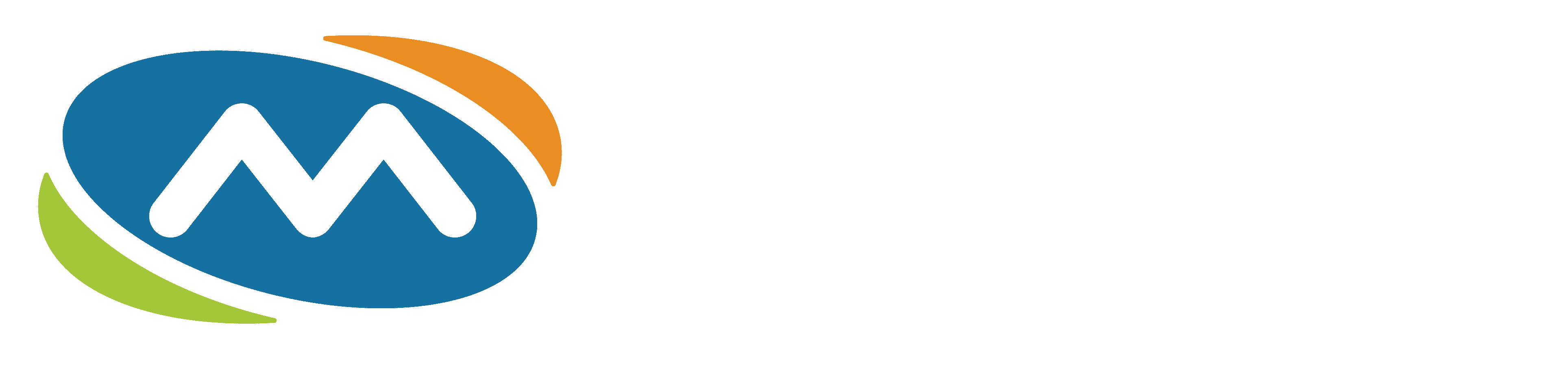 logo megabyte